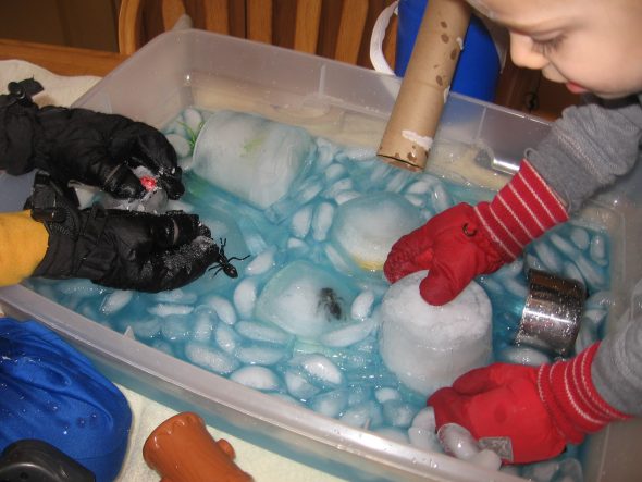 children trying to get toy bugs out of ice 