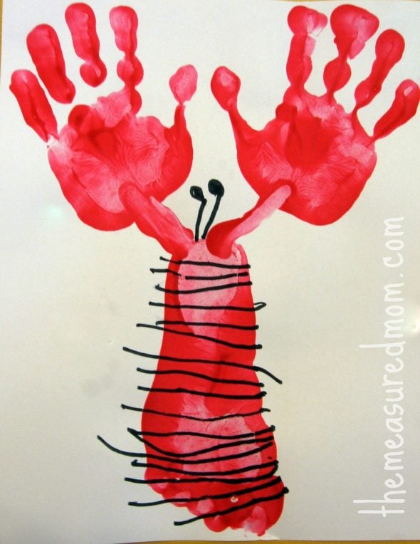 hand and footprint lobster
