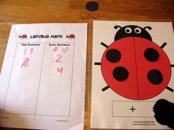 picture of ladybug math activity