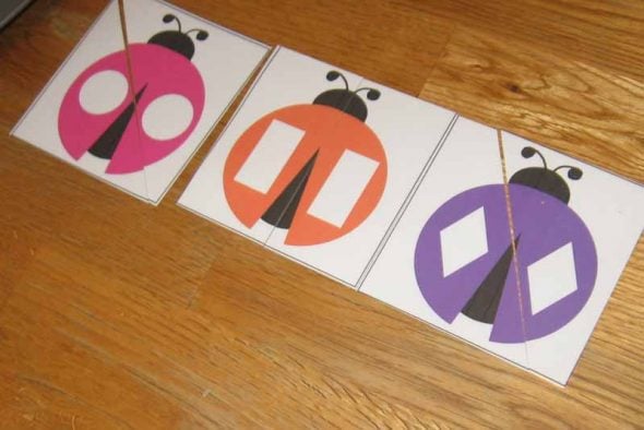 ladybug shape puzzles