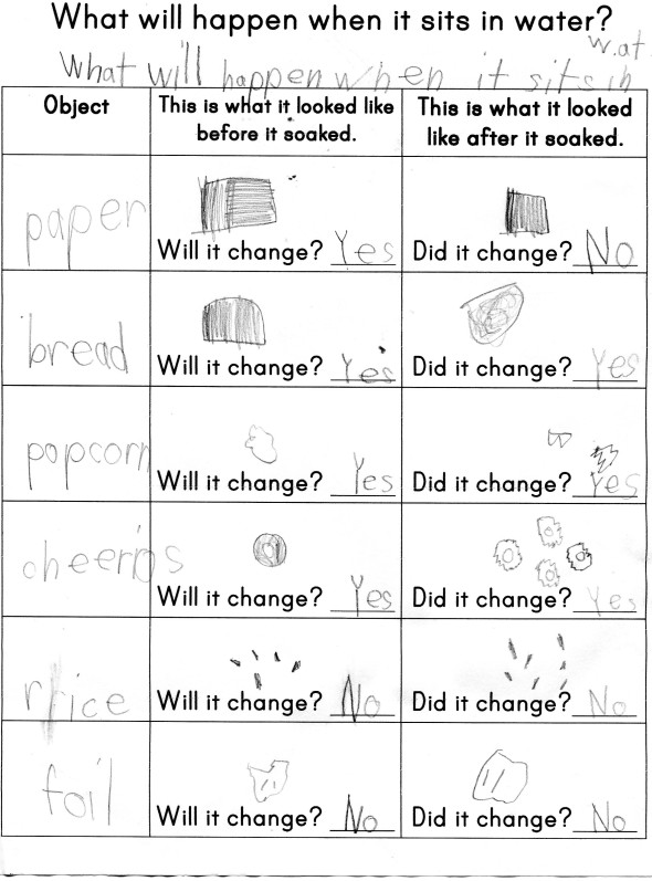 What will happen when it sits in water? worksheet