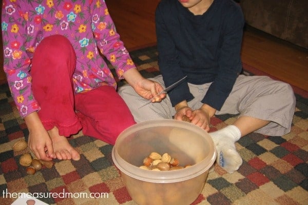 nuts about math (3) - the measured mom