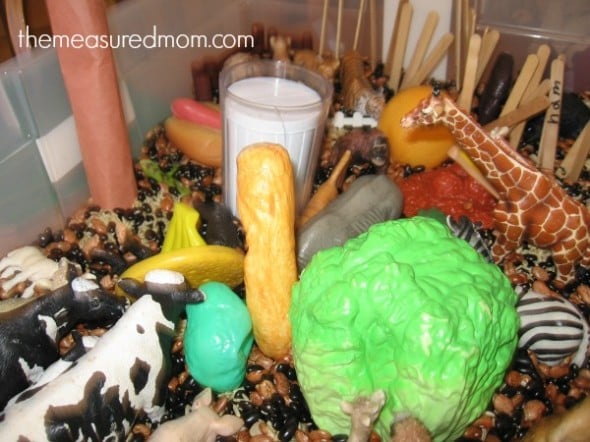 zoo sensory 6