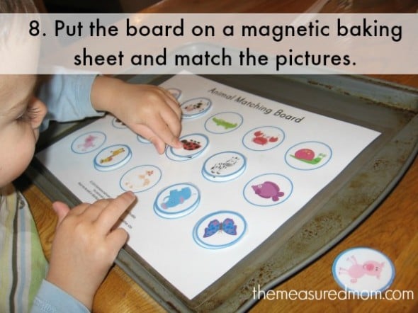 matching activity 8