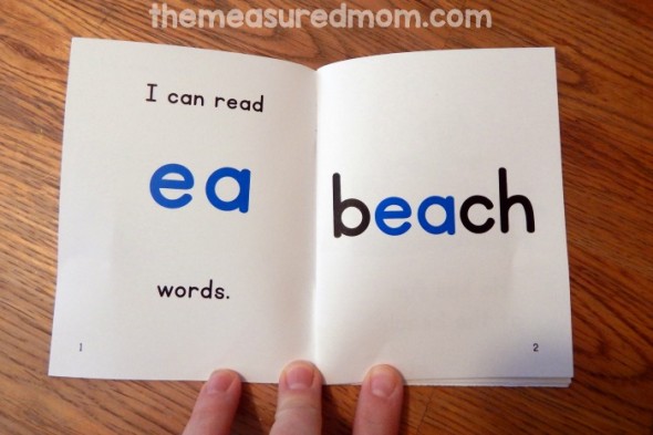These printable phonics books teach oa words, ie words, ea words, and ow words. 