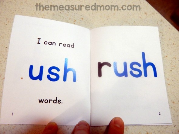 Get this free set of phonics readers for reading ush, unch, ump, ust, ung, and unk words!
