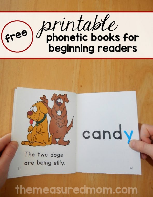 phonics books set 22