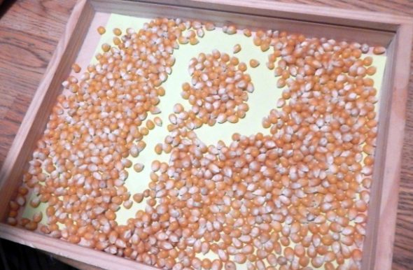 Looking for playful, hands-on letter P activities for preschool? We've got more than a dozen!