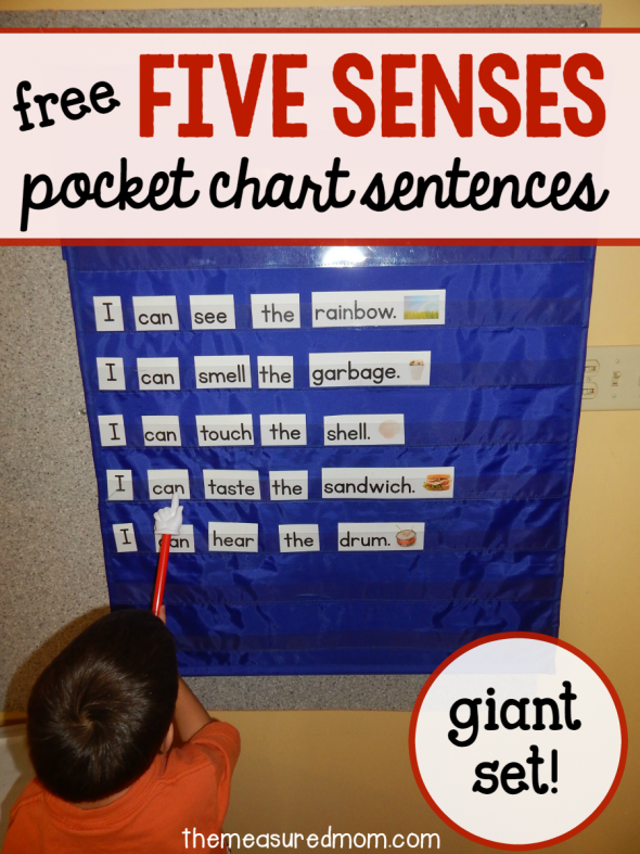 Love this five senses activity for preschool, kindergarten, and first grade! Great pocket chart idea. 