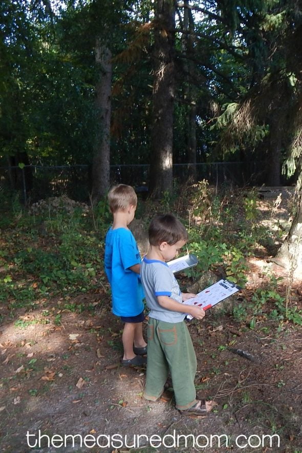 Free nature walk scavenger hunt! 