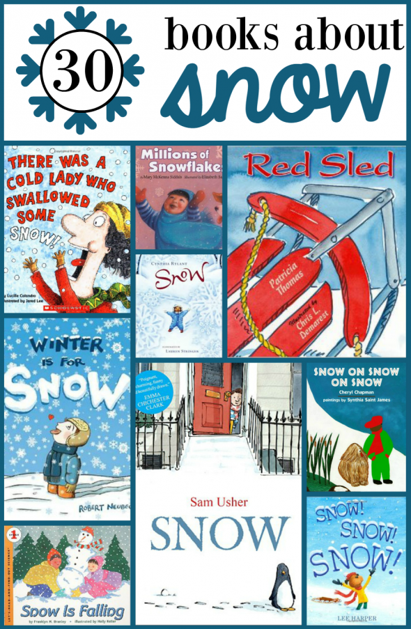 books about snow