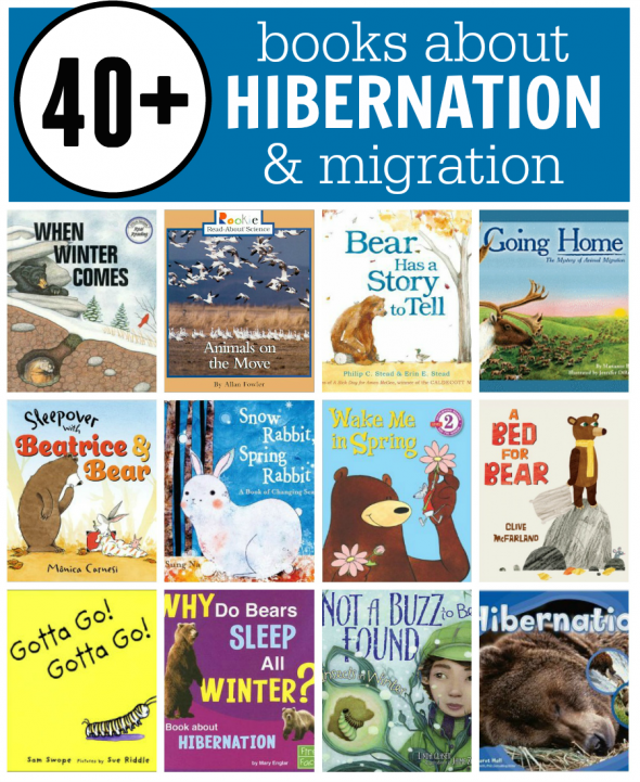 books about hibernation and migration