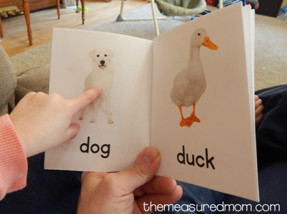 My 2-year-old LOVES these books about colors for toddlers. She carries them around in a little tin lunch box! 