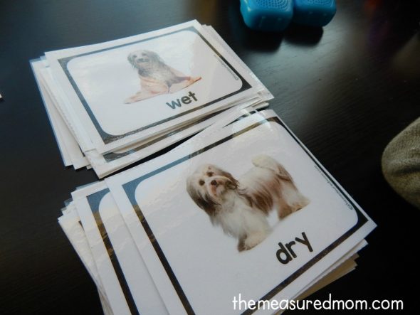 opposite-cards-1