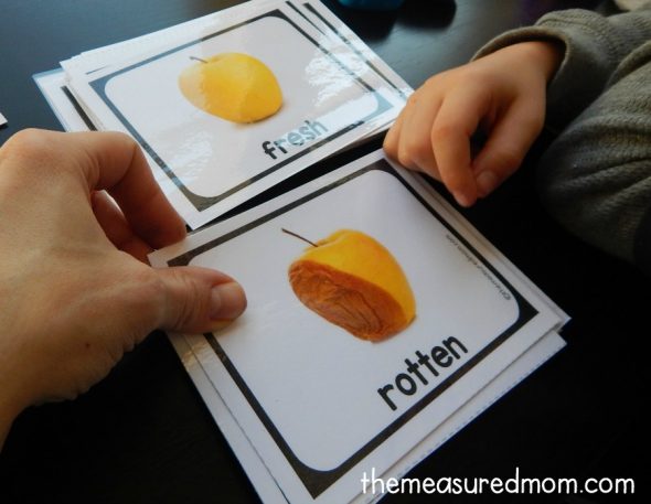 opposite-cards-2