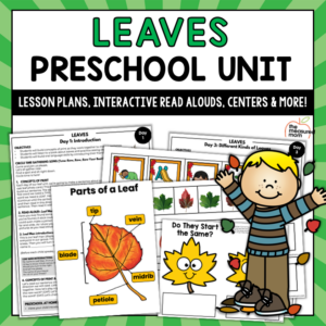 Leaves Theme for Preschool