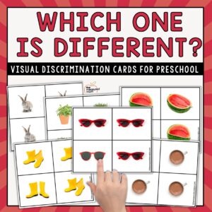 Visual Discrimination Cards for Every Season